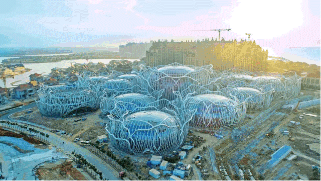 牵手中国最大人工岛 携手共进“麦”享未来